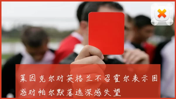 莱因克尔对英格兰不召霍尔表示困惑对帕尔默落选深感失望