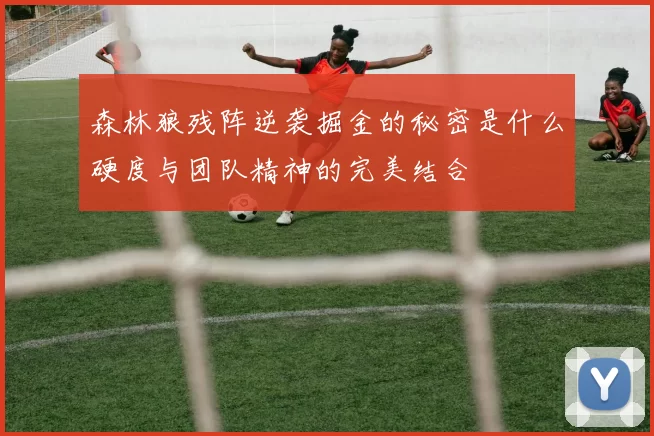 森林狼残阵逆袭掘金的秘密是什么硬度与团队精神的完美结合